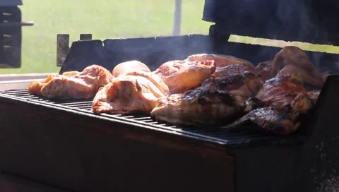 Grilling BBQ Chicken Stock Footage 5618001