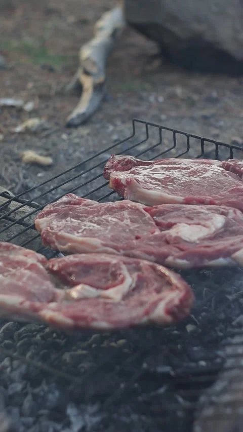 Grilling Beef Steak on Campfire (Vertical Video) Stock Footage 303517263