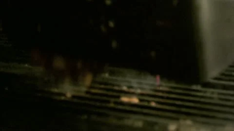 Grilling Burger Meat Video stock 10893964