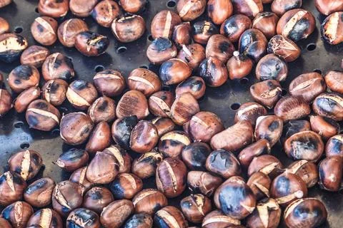Grilling chestnuts. Stock Photos