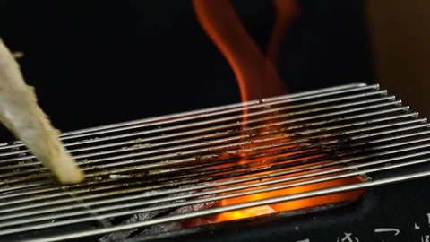 Grilling Chicken over Charcoal Fire Stock Footage 334280543