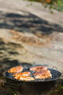 Grilling chicken 写真素材