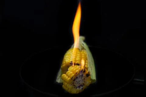 Grilling corn on black background Stock Photos