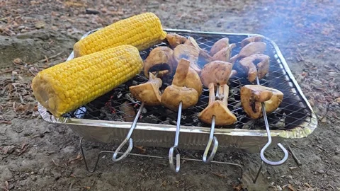 Grilling corn on the cob and mushrooms on a disposable barbecue grill outdoor Stock Footage 341676607