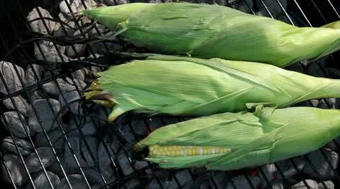 Grilling corn Stock Footage 11399887