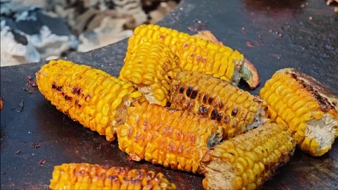 Grilling corn on a hot day at the barbecue in a backyard setting Stock Footage 341870380