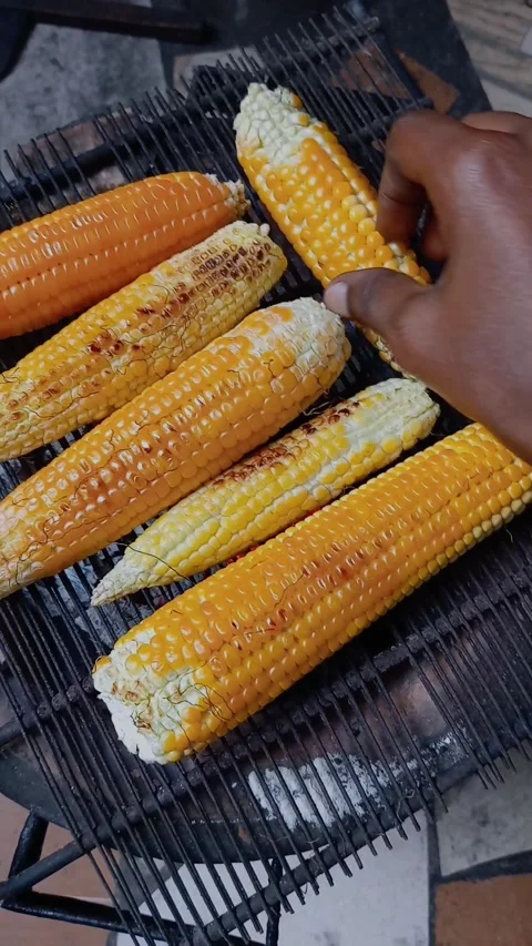 Grilling corn on traditional cast iron on coal pot Stock Footage 316110238