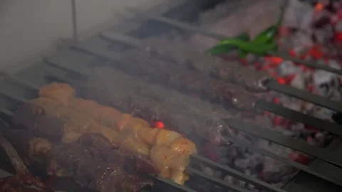 Grilling Delicious Kebabs Stock Footage 319950560