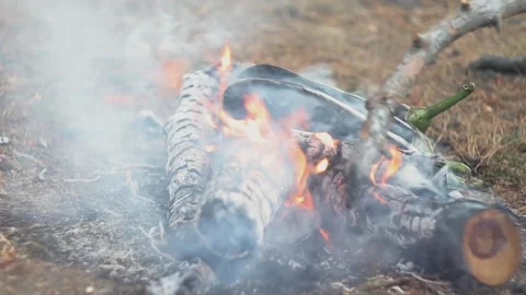 Grilling Eggplants on the Campfire Stock Footage 303516448