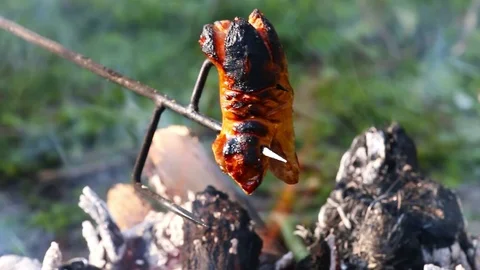 Grilling of fatty sausages. Stock Footage 75149415