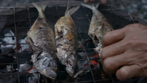 Grilling fish on barbecue Stock Footage 83783939