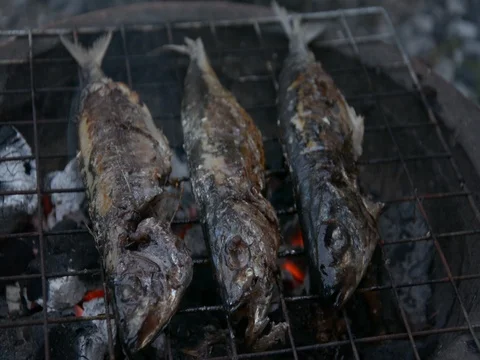 Grilling fish on barbecue Vídeos de archivo 83783950