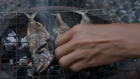 Grilling fish on barbecue Stock Footage 83783990