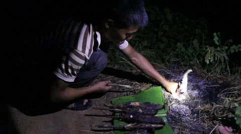 Grilling fish on campfire Stock Footage 52373733