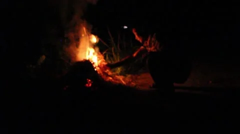 Grilling fish on campfire Stock Footage 52373736