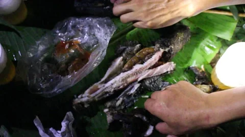 Grilling fish on campfire Stock Footage 52373934