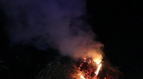 Grilling fish on campfire Stock Footage 52373962