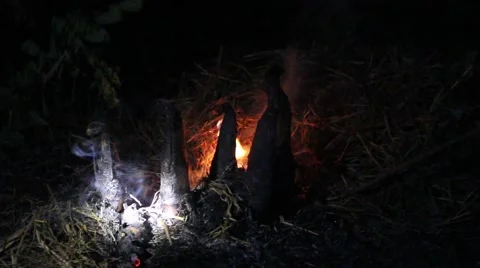 Grilling fish on campfire Video stock 52374531