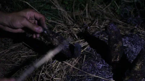 Grilling fish on campfire Stock Footage 52374880