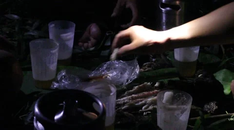 Grilling fish on campfire Stock Footage 52374893