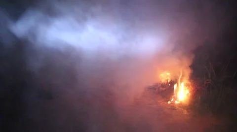 Grilling fish on campfire Stock Footage 52375014