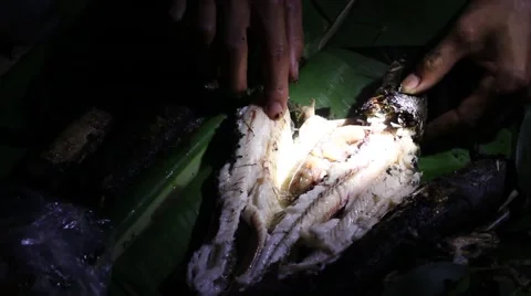 Grilling fish on campfire Stock Footage 52375042