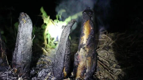 Grilling fish on campfire Video stock 52375066