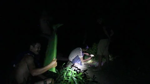 Grilling fish on campfire Stock Footage 52375138