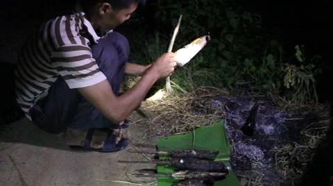Grilling fish on campfire Stock Footage 52375266