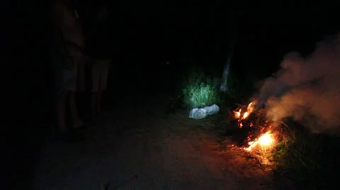 Grilling fish on campfire Stock Footage 52375336