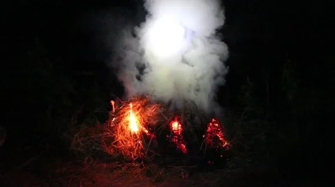 Grilling fish on campfire Stock Footage 52375465