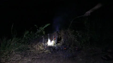 Grilling fish on campfire Stock Footage 52375756
