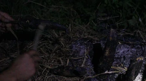 Grilling fish on campfire Video stock 52375833