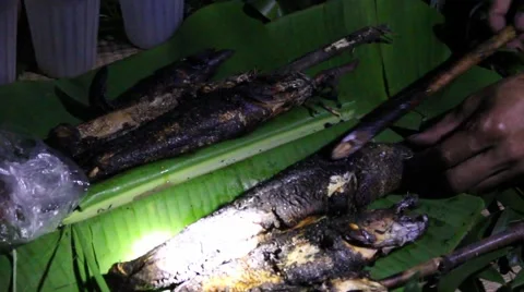 Grilling fish on campfire Stock Footage 52375892