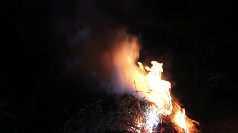 Grilling fish on campfire Video stock 52375923