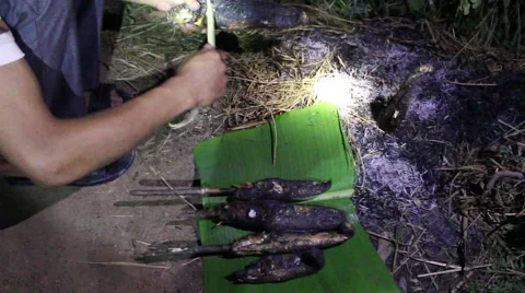 Grilling fish on campfire Stock Footage 52375952