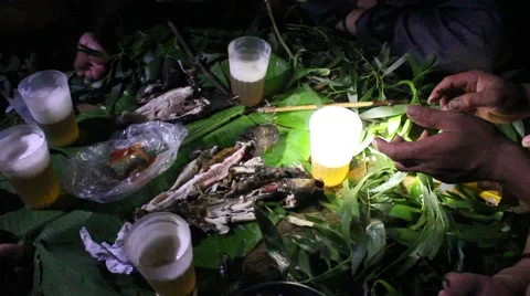 Grilling fish on campfire Stock Footage 52376014