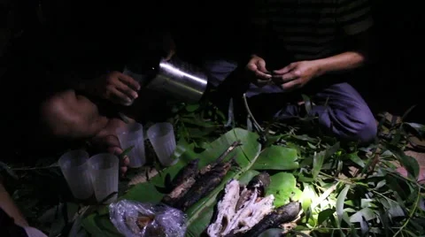 Grilling fish on campfire Video stock 52376083