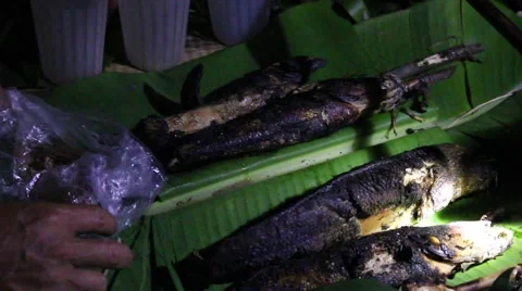 Grilling fish on campfire Video stock 52376235