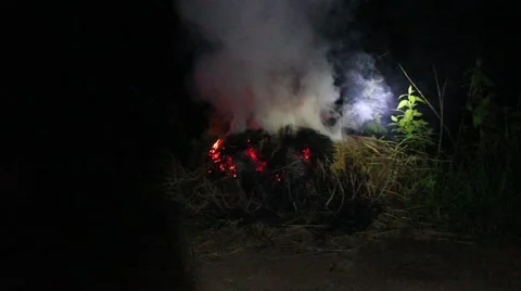 Grilling fish on campfire Stock Footage 52376300
