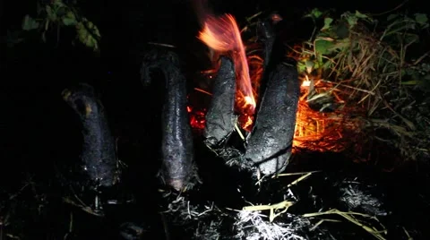 Grilling fish on campfire Stock Footage 52376336
