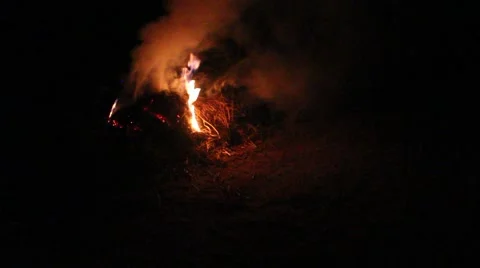 Grilling fish on campfire Video stock 52376418