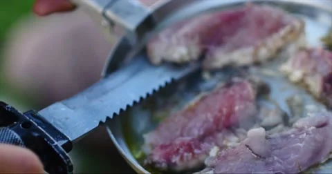 Grilling fish on campfire Stock Footage 58096489