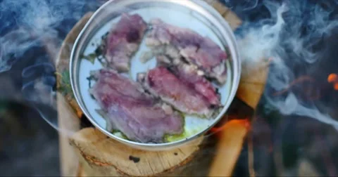 Grilling fish on campfire Video stock 58096856