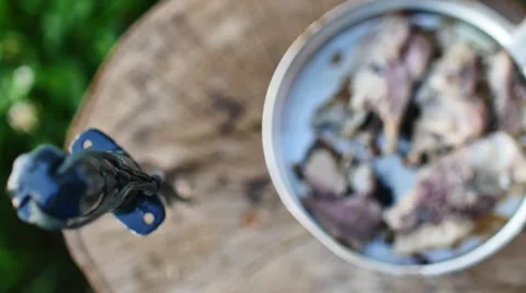 Grilling fish on campfire Stock-Footage 58098689