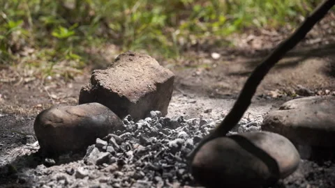 Grilling Fish on a Campfire Video stock 313343558