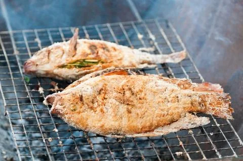 Grilling fish on campfire Stock Photos
