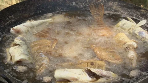 Grilling fish Stock Footage 42581837