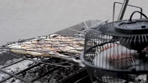 Grilling fish Stock Footage 295831148