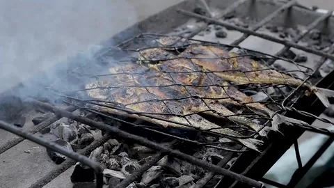 Grilling fish Stock Footage 295831197